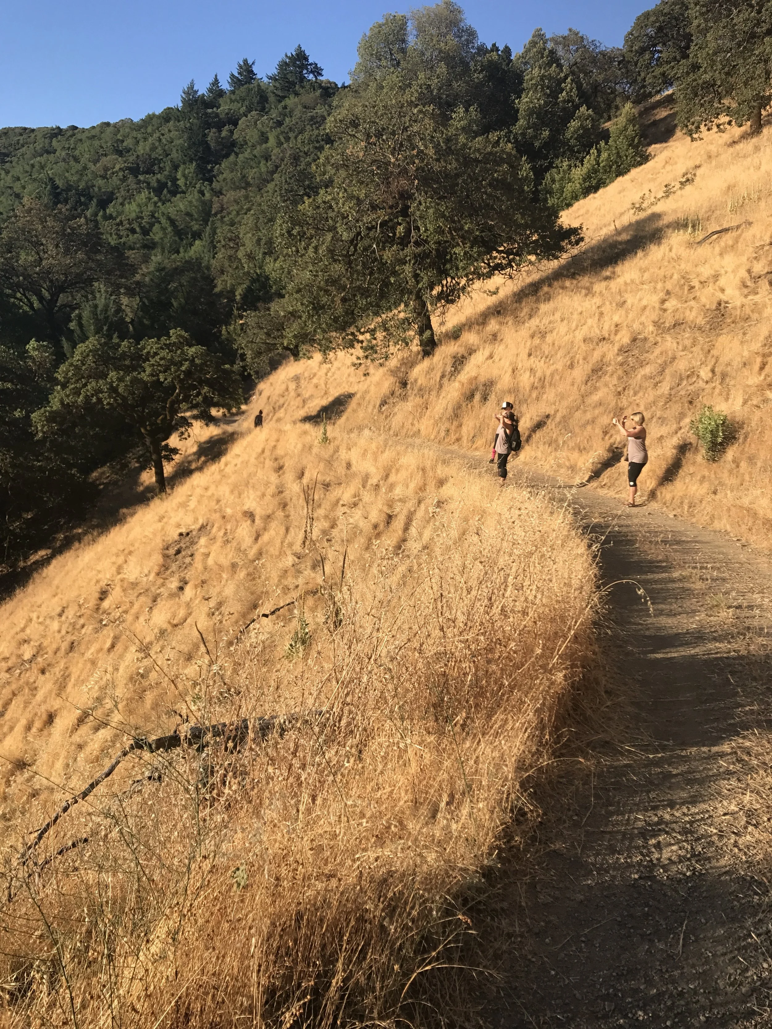Hiking Trails