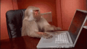 monkey+gif.gif