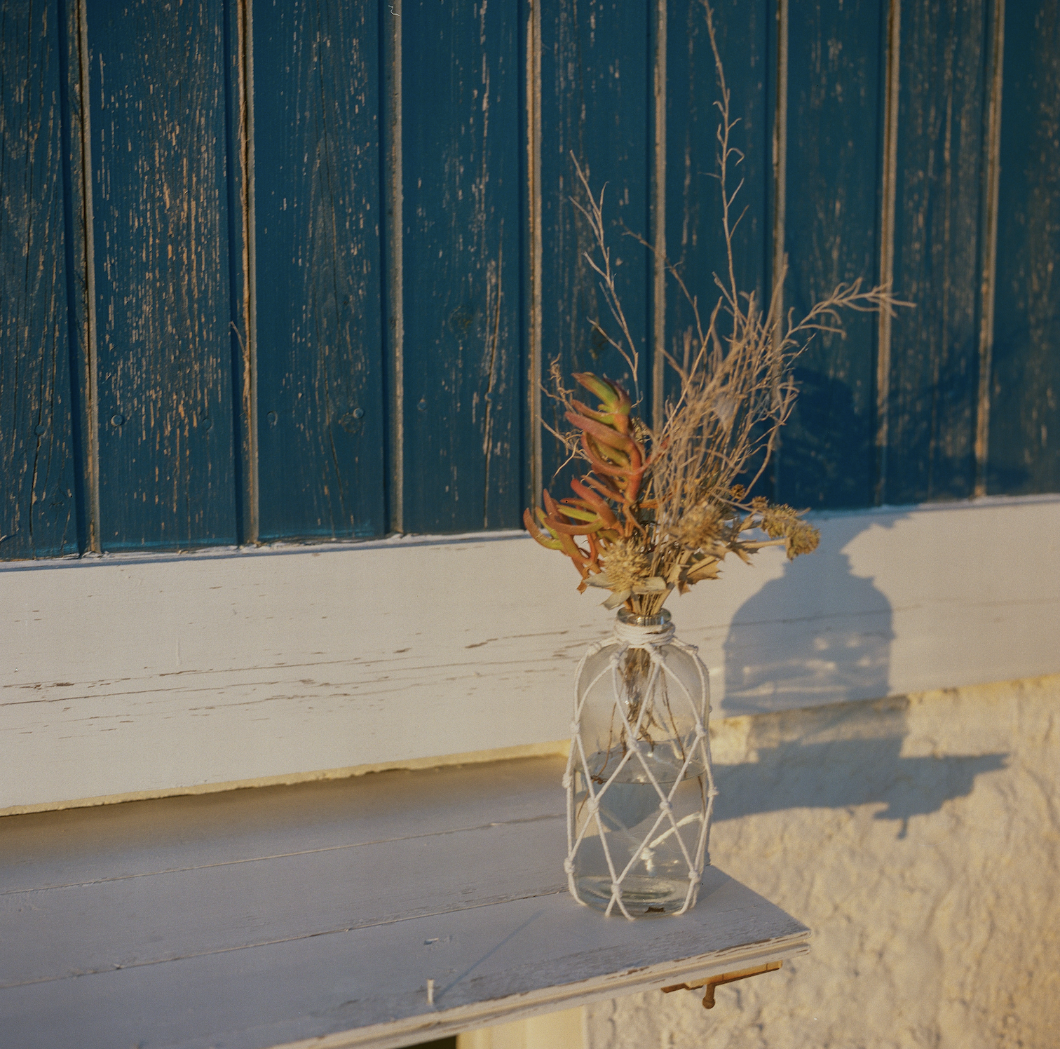 Screen Shot 2020-06-13 at 3.11.40 PM.png