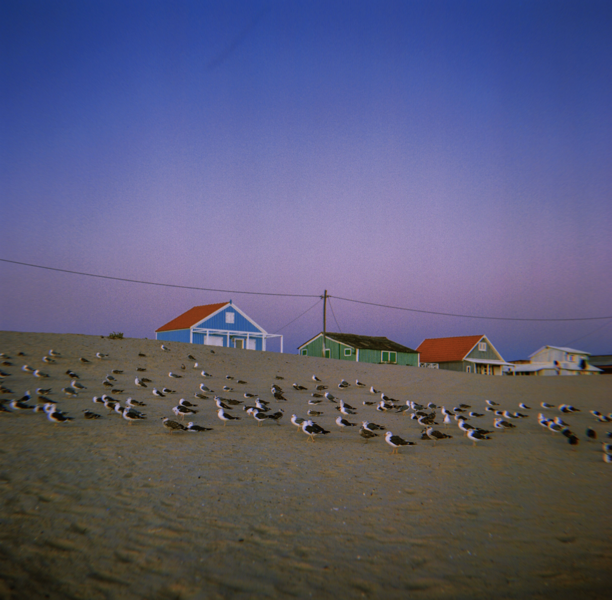 Screen Shot 2020-06-13 at 3.23.33 PM.png