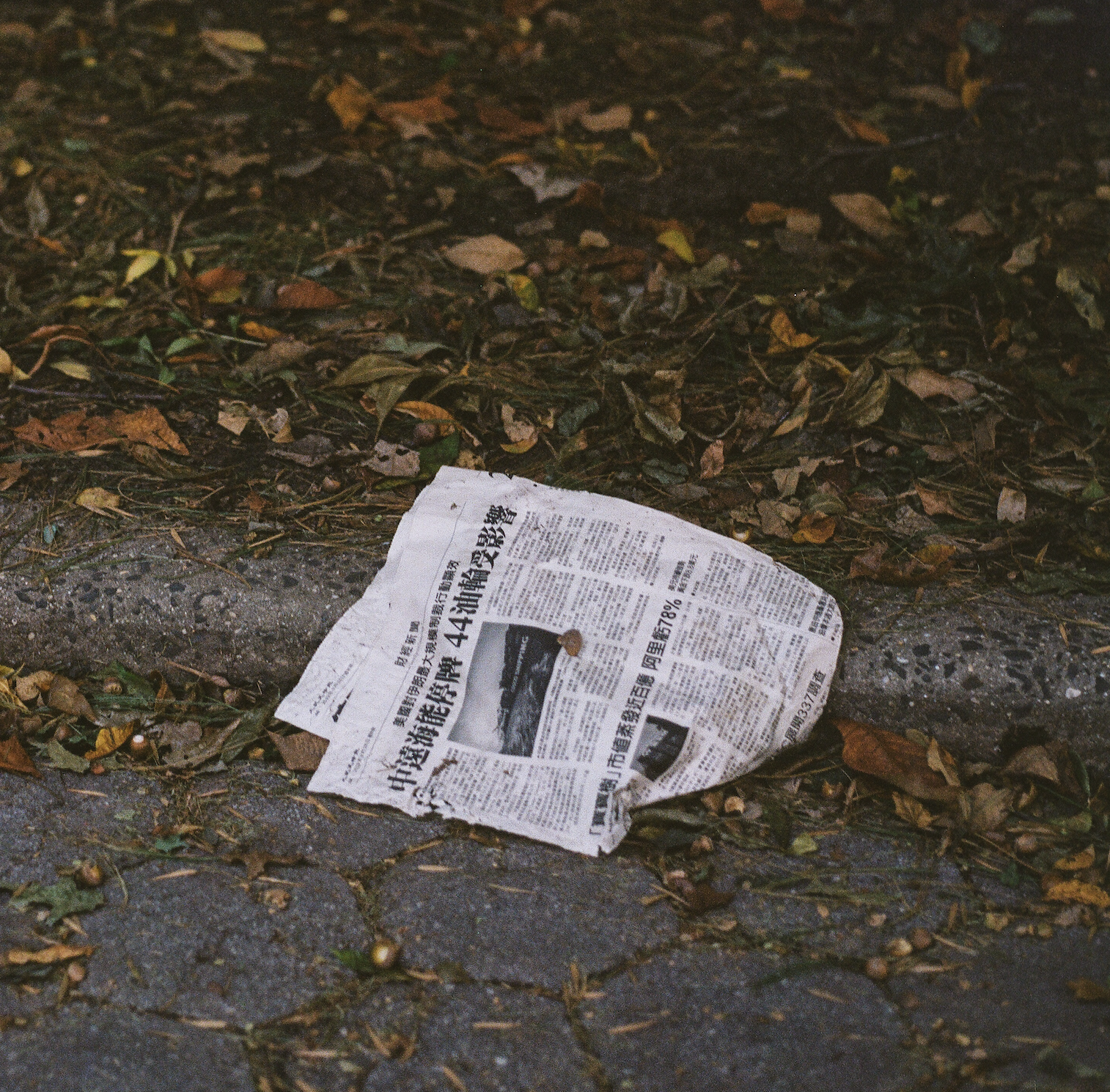 Screen Shot 2020-06-13 at 3.37.33 PM.png