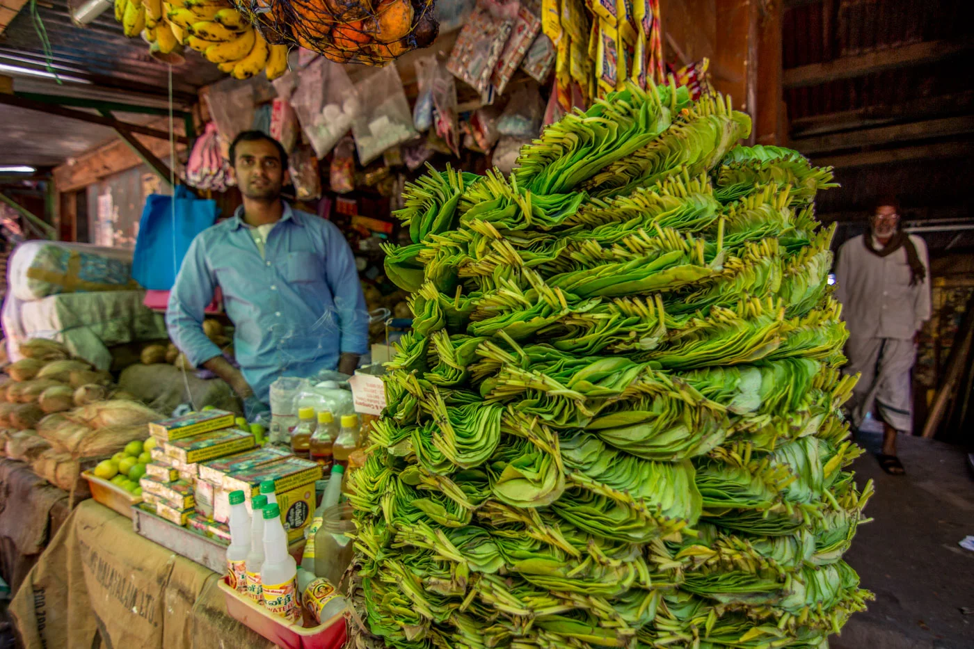 india website-7229.jpg