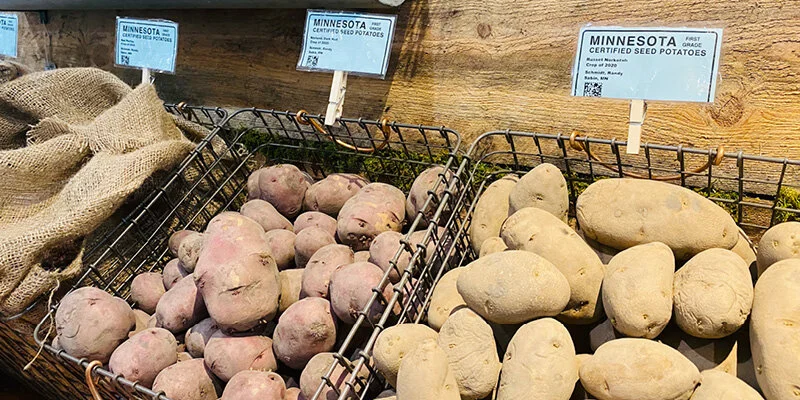 The Scoop on Potatoes - Cooking for Mashed, Chopped, or Sliced?