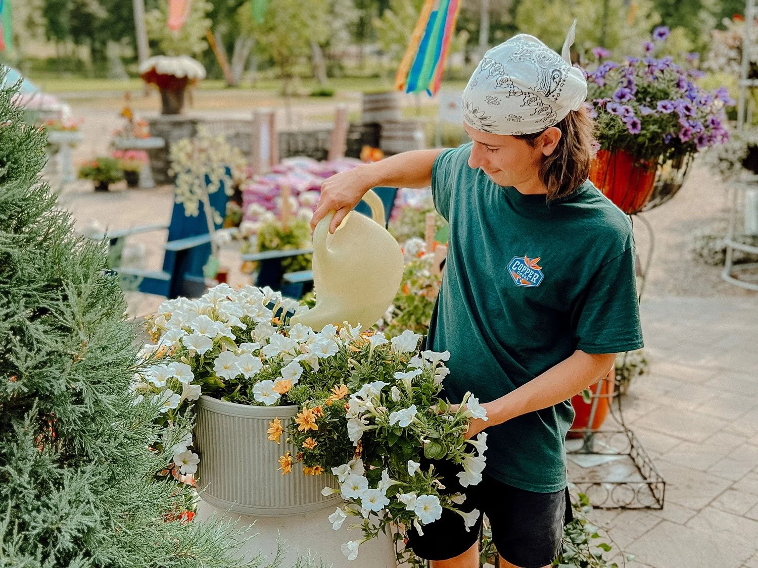 Minnesota Summer Watering Tips During Drought Times