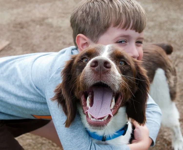 A Dog's Letter to His Boy