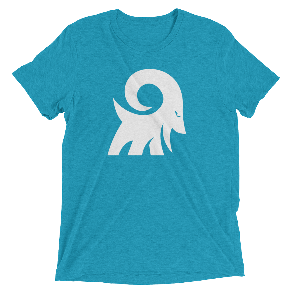 largeGOAT_mockup_Wrinkle-Front_Aqua-Triblend.png