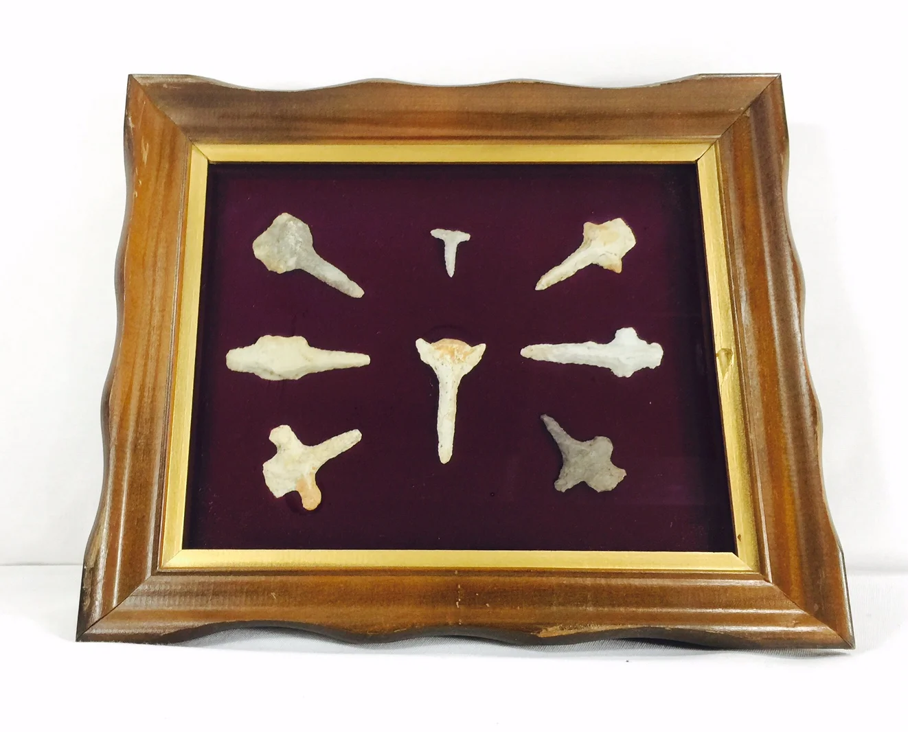 ArrowHead8.jpg