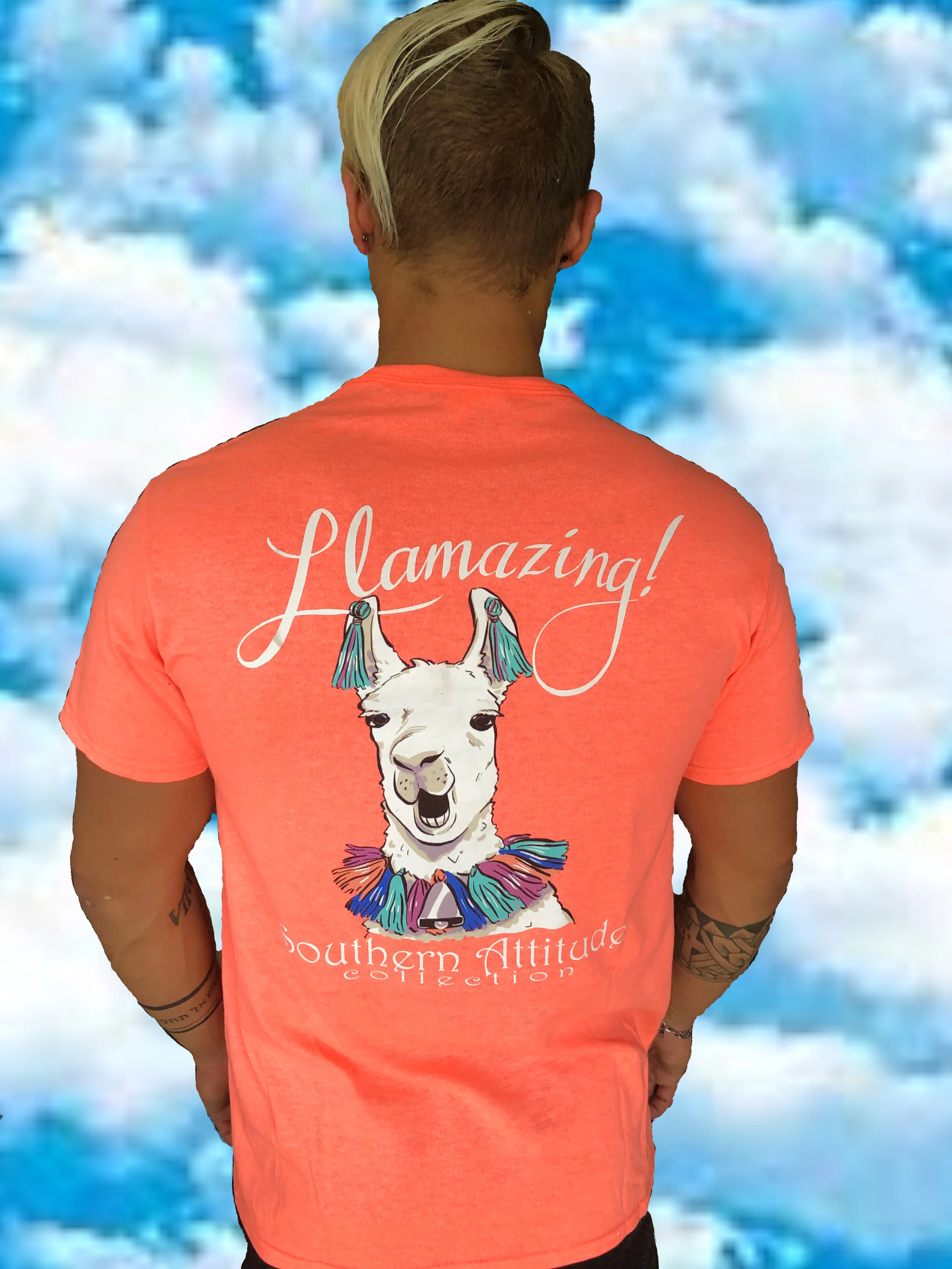 LlamzingBack2.jpg
