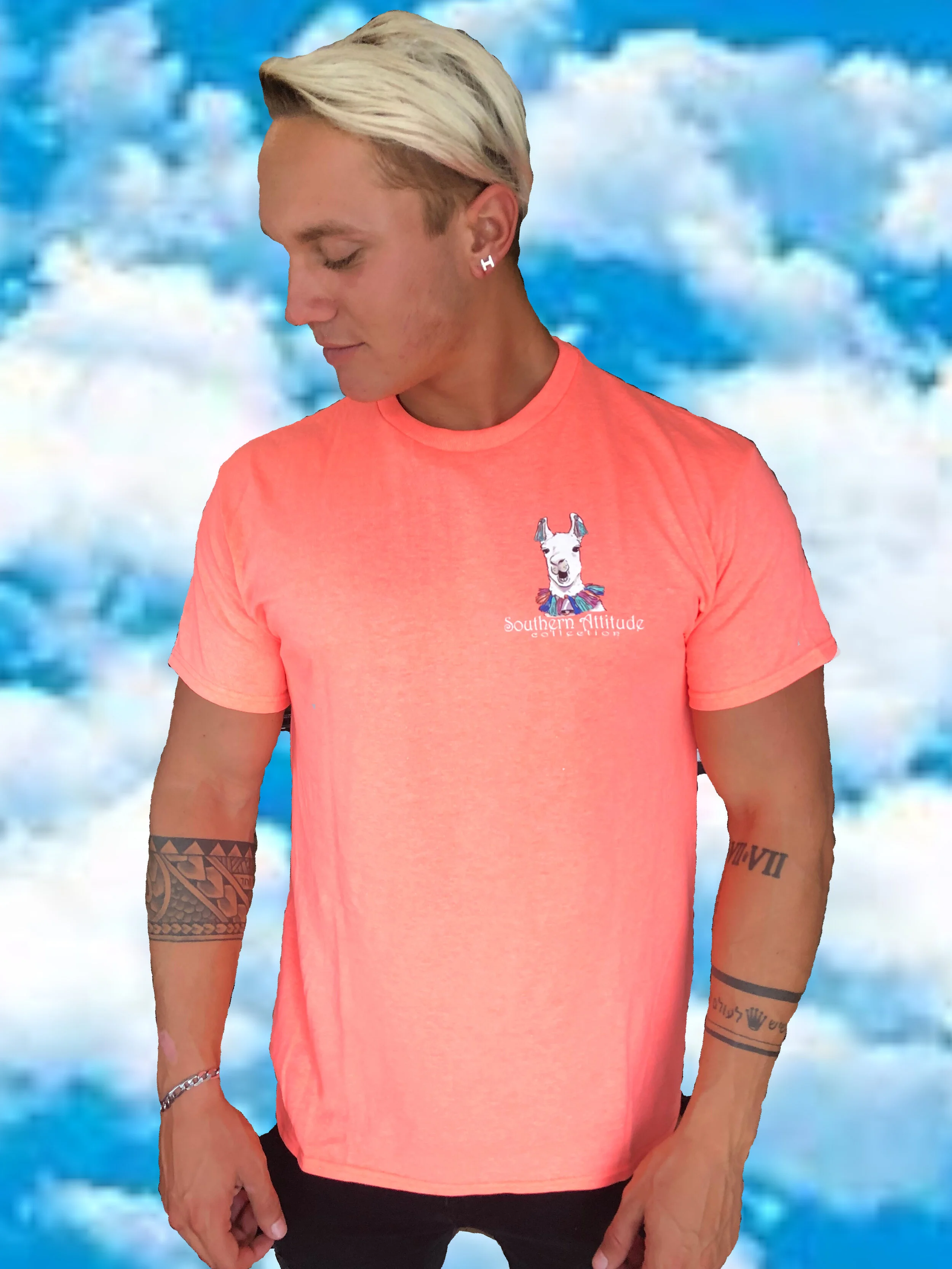 LlamzingFront2.jpg