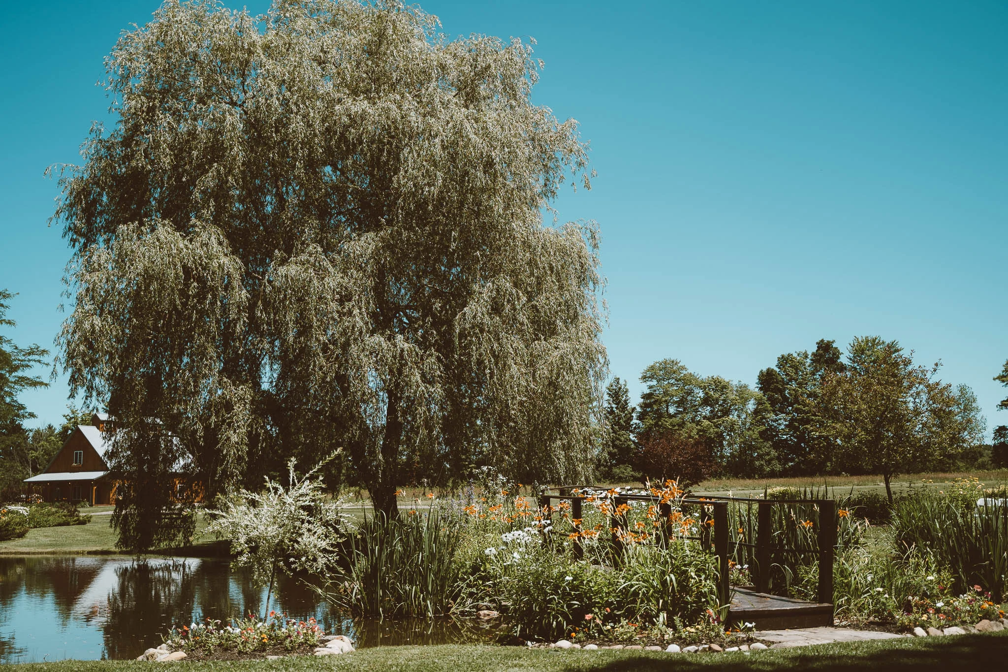 A7300248.jpg