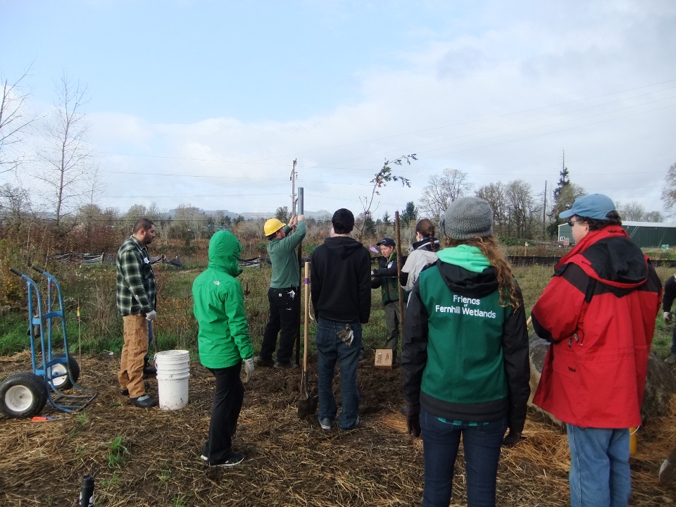 Volunteer Tree Planting