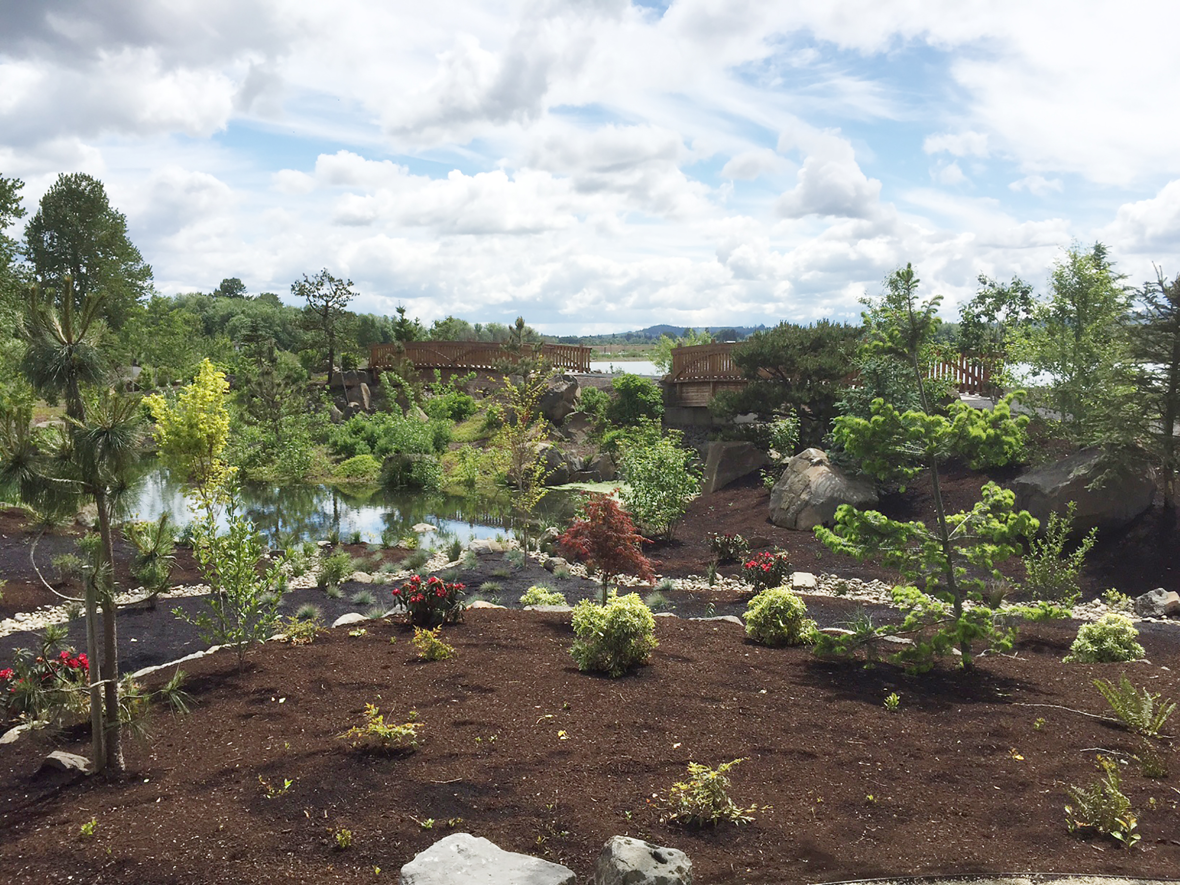 Fernhill Water Garden