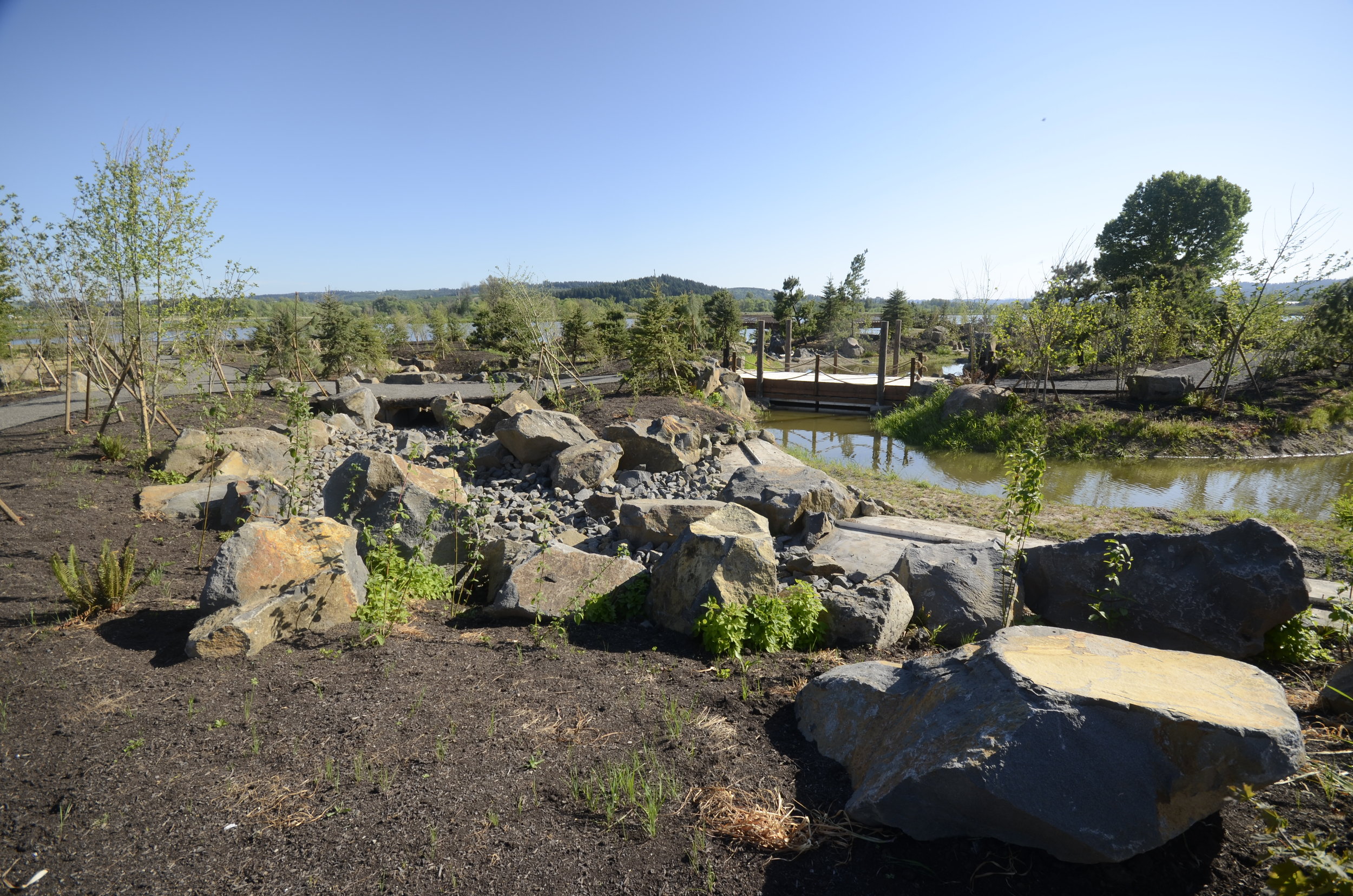 Water Garden