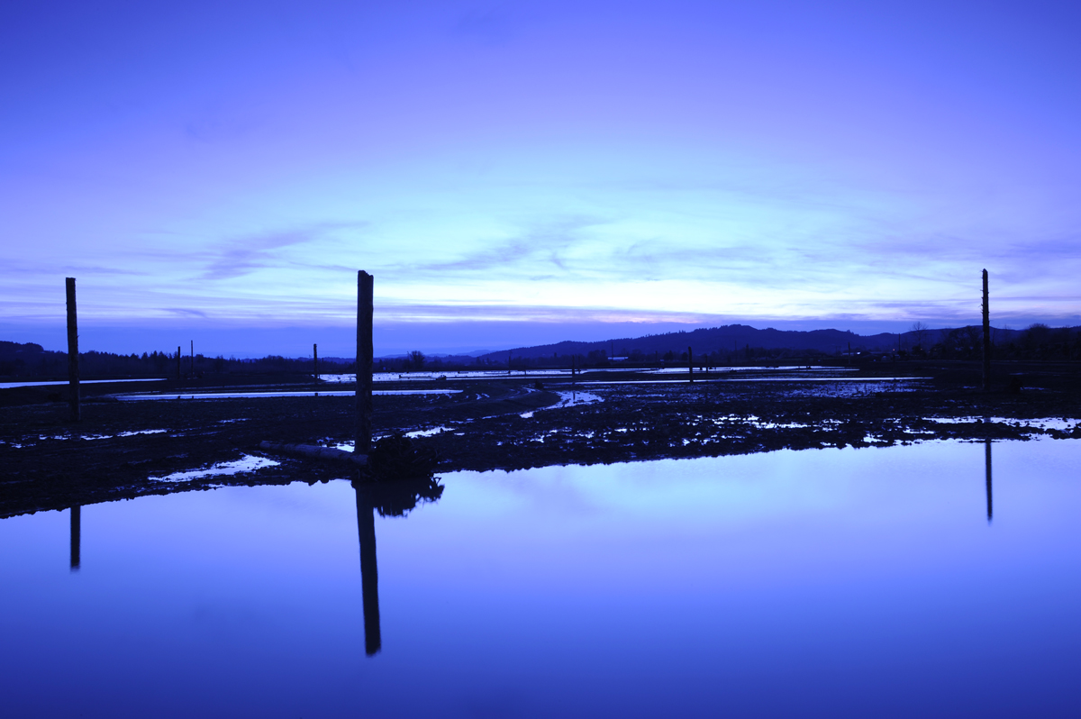 Sunset Over Fernhill Wetlands