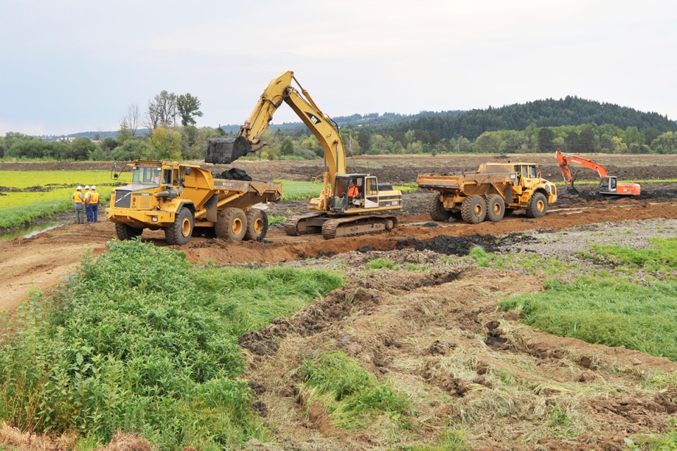 Construction of the Wetlands