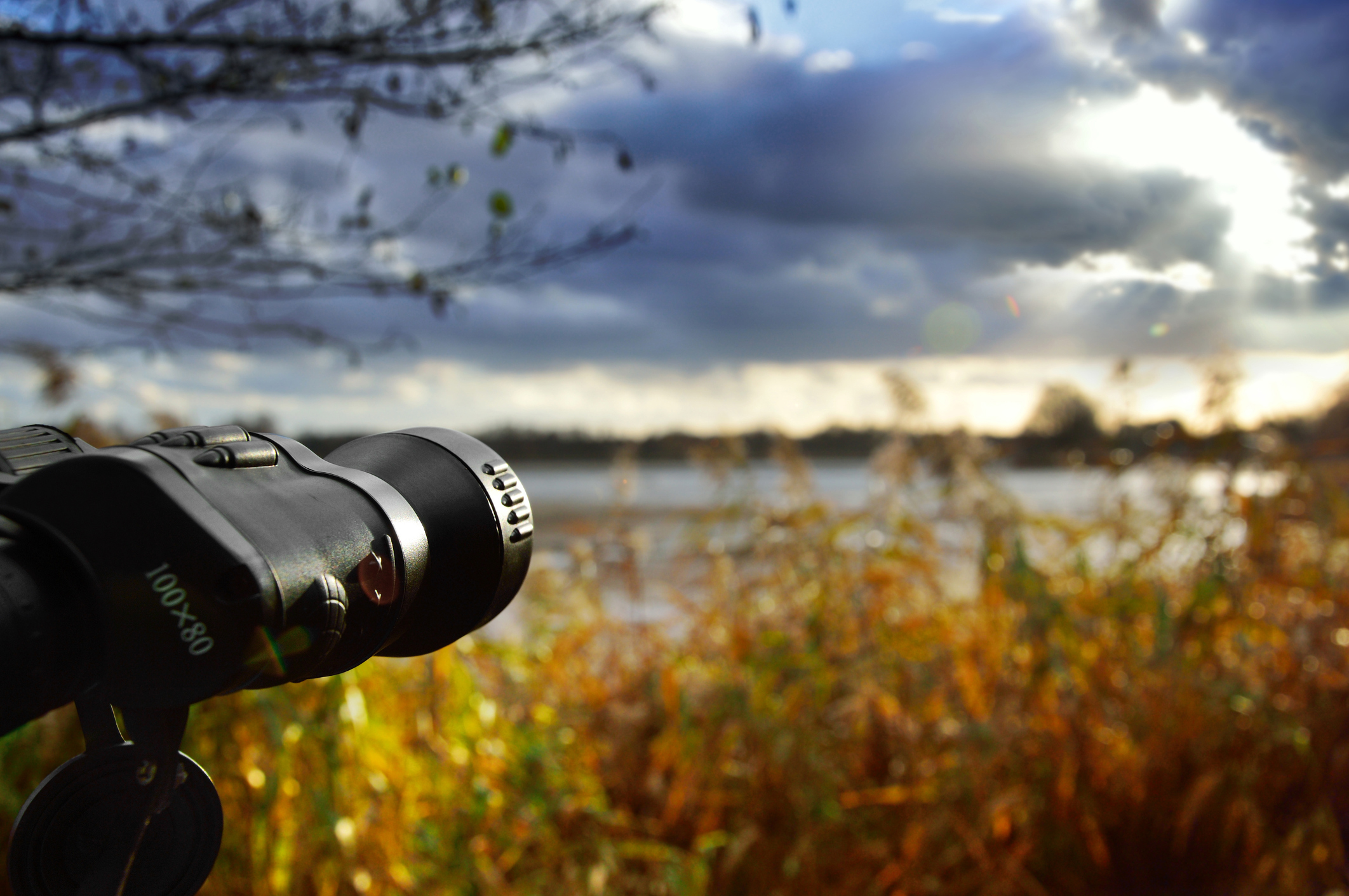 binoculars.jpg
