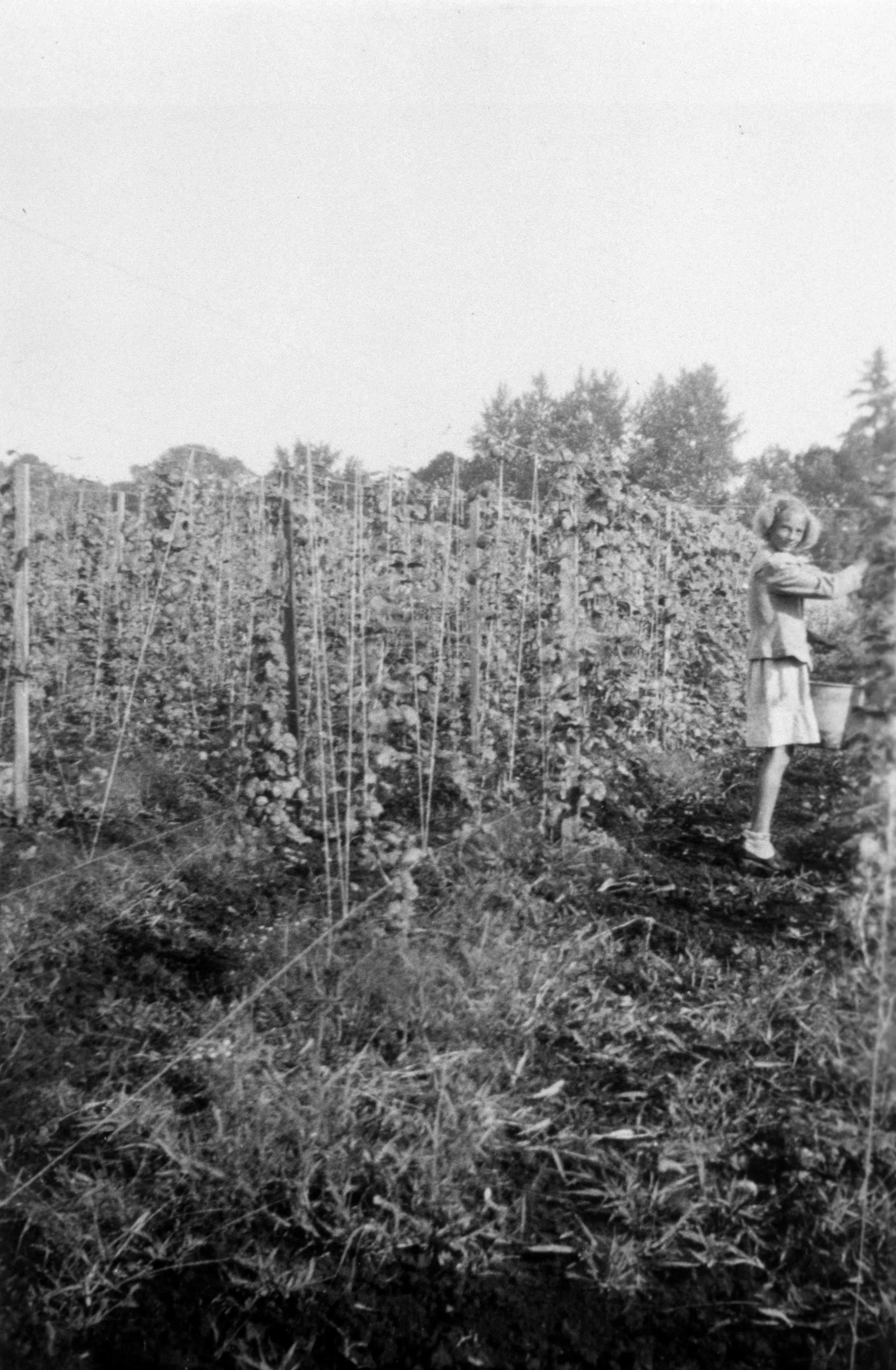 Doris Byer in bean field