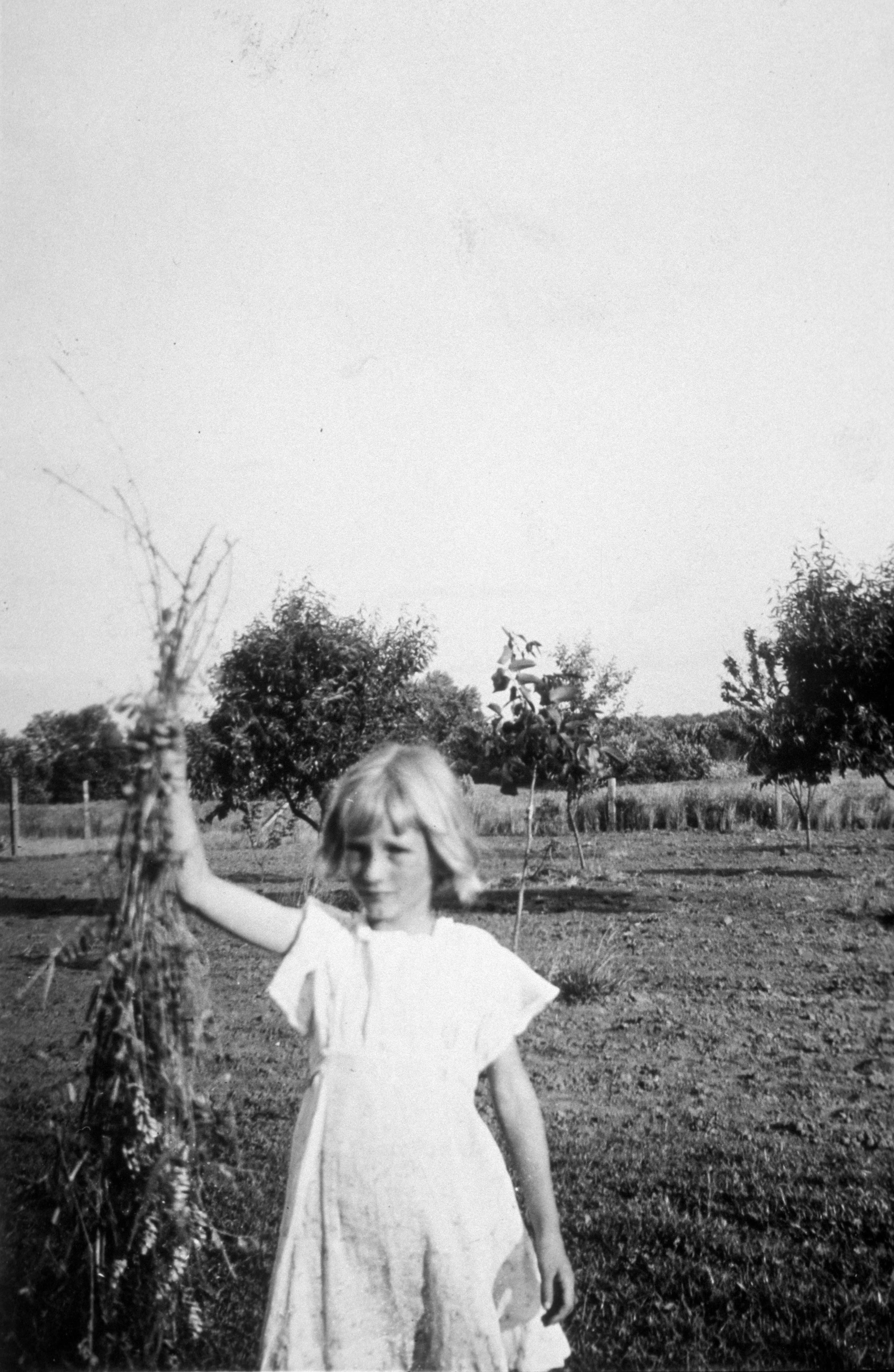 Doris Byer displays hops from the neighbor's farm