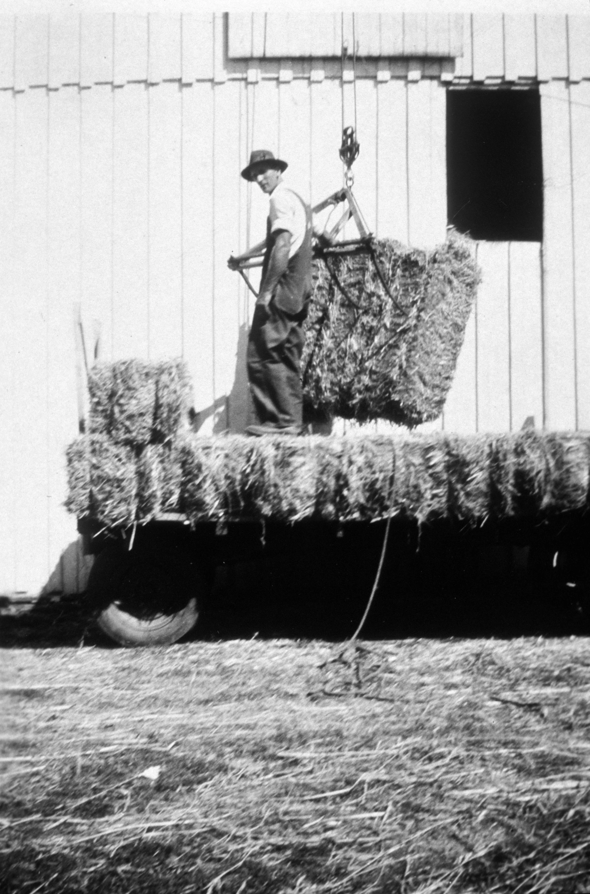 Milton Byer stacks hay for the livestock