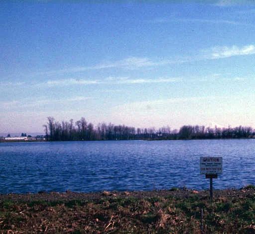 1970: Unified Sewerage Agency