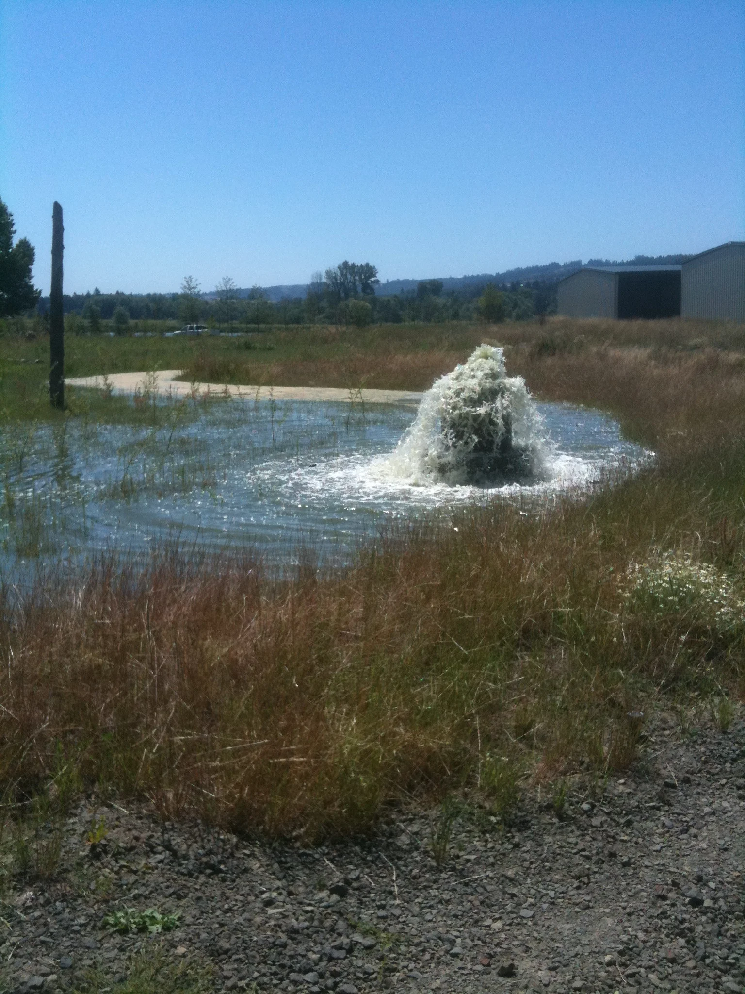 2012: Lower Treatment Wetland