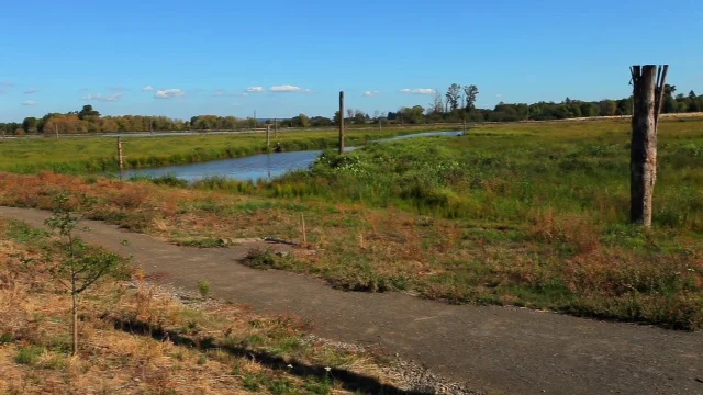 2015: South Wetlands Ready to Work