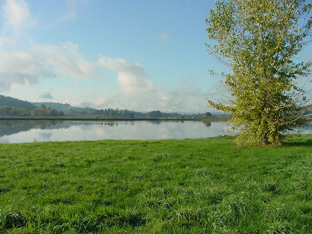 2006: OWNERSHIP SHIFTS