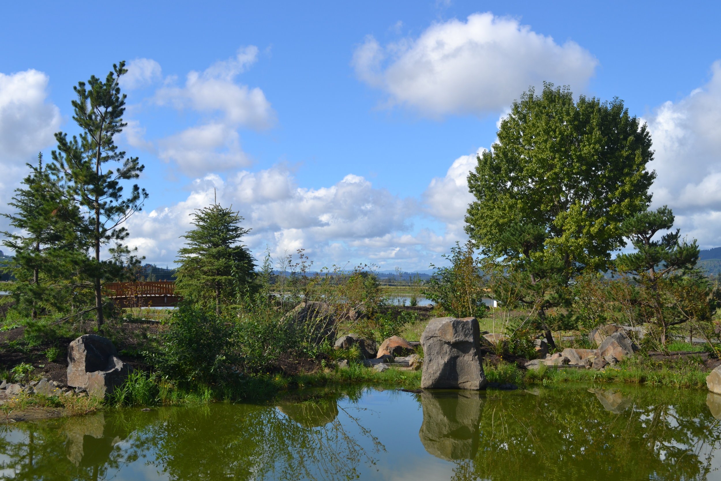 View from Waterfall 2013