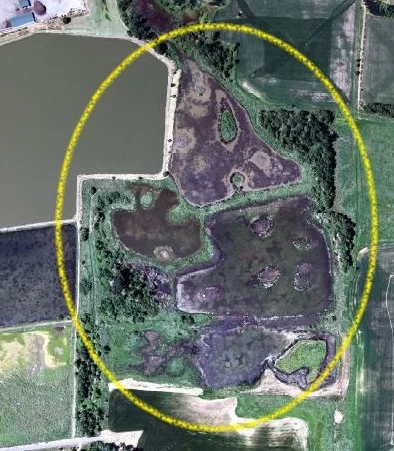 1999: MITIGATION WETLANDS