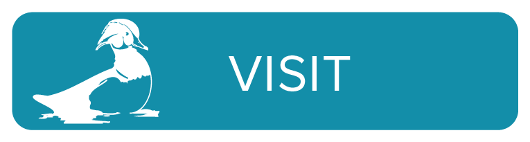 Home Page Button_VISIT_thin.png