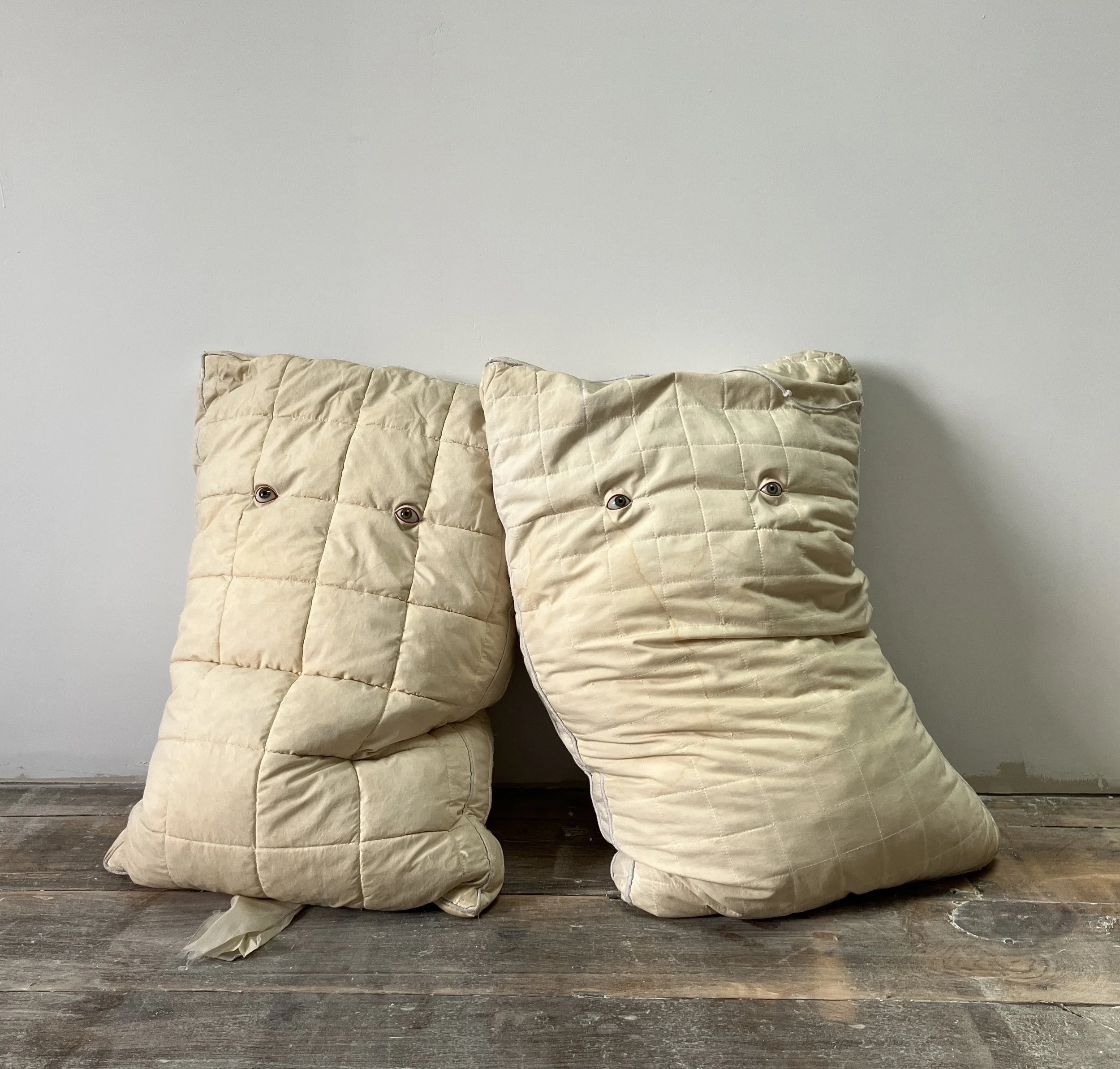 01 Catherine Heard Witness Installation View .JPG