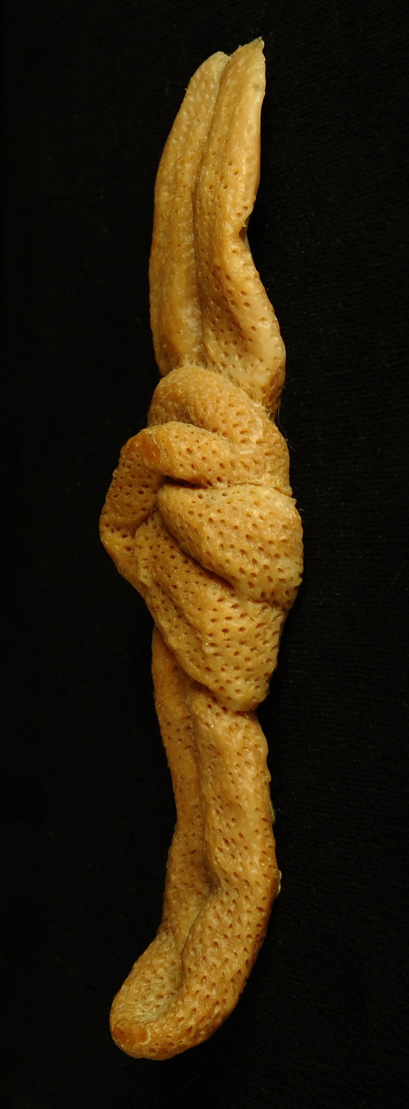 FBHOA001.jpg