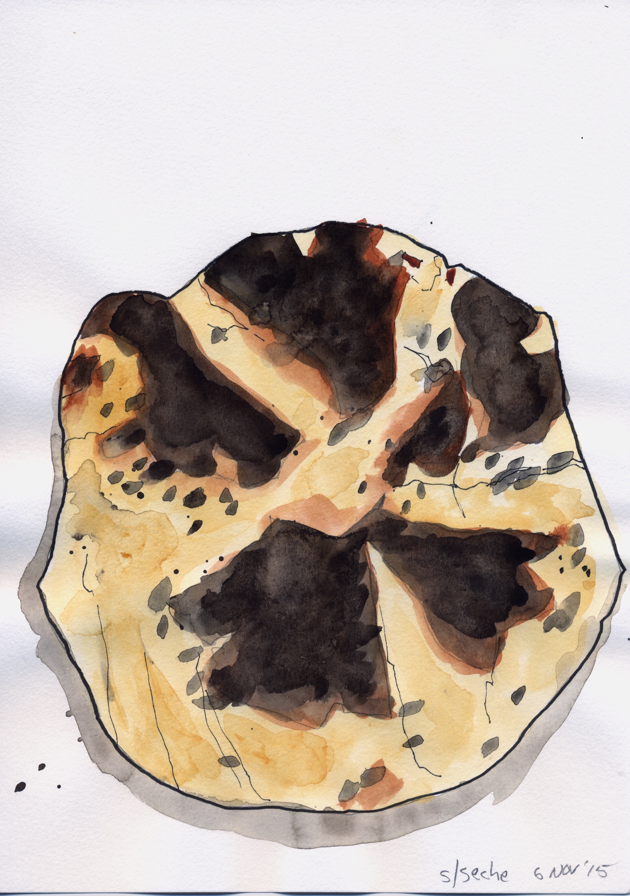 tortilla.jpeg