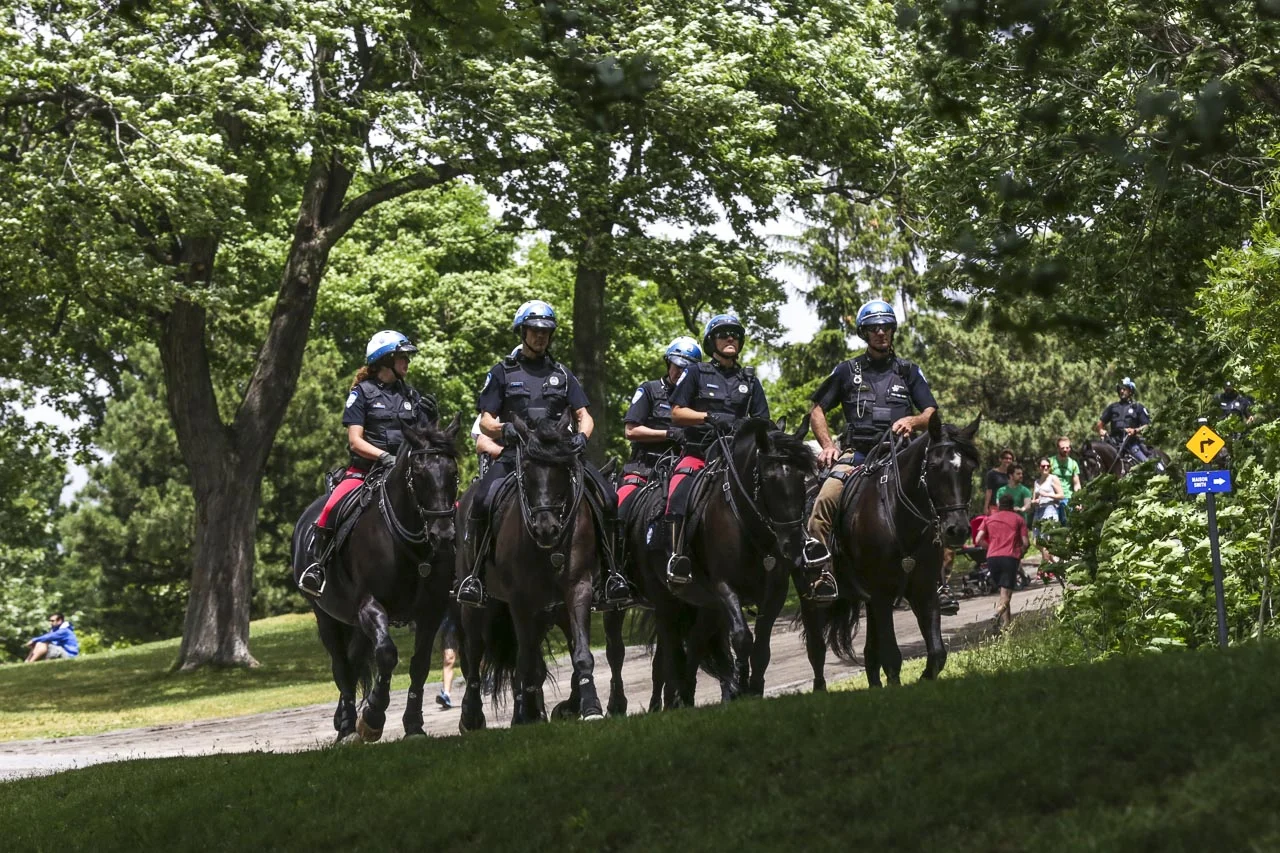 Chevaux-142263.jpg
