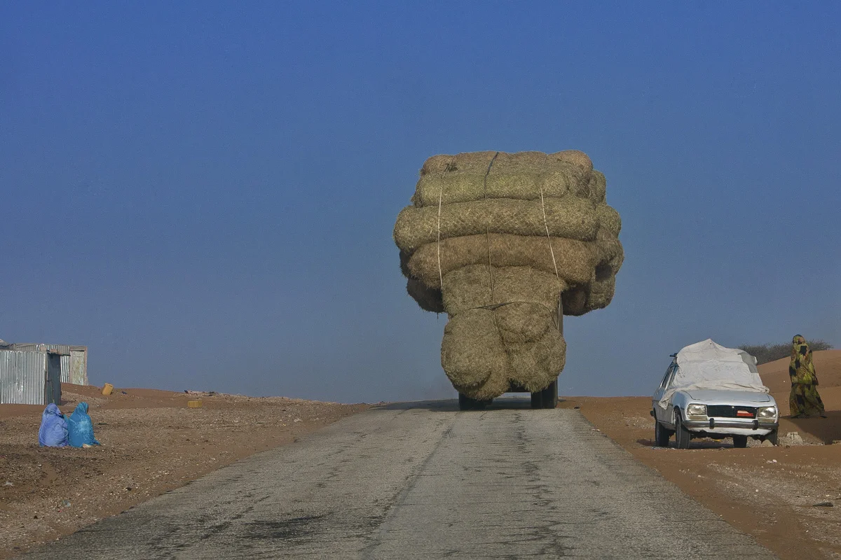 Africa-14.jpg