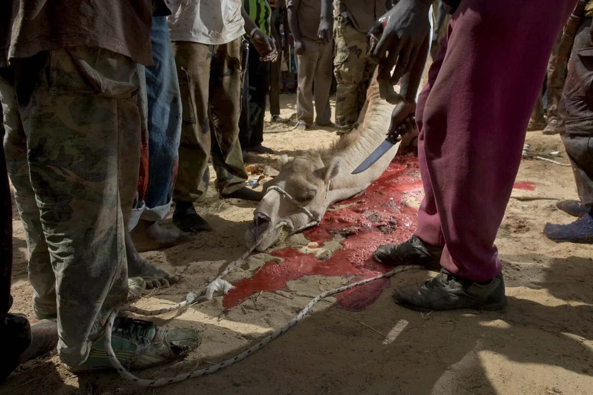 Africa-17.jpg