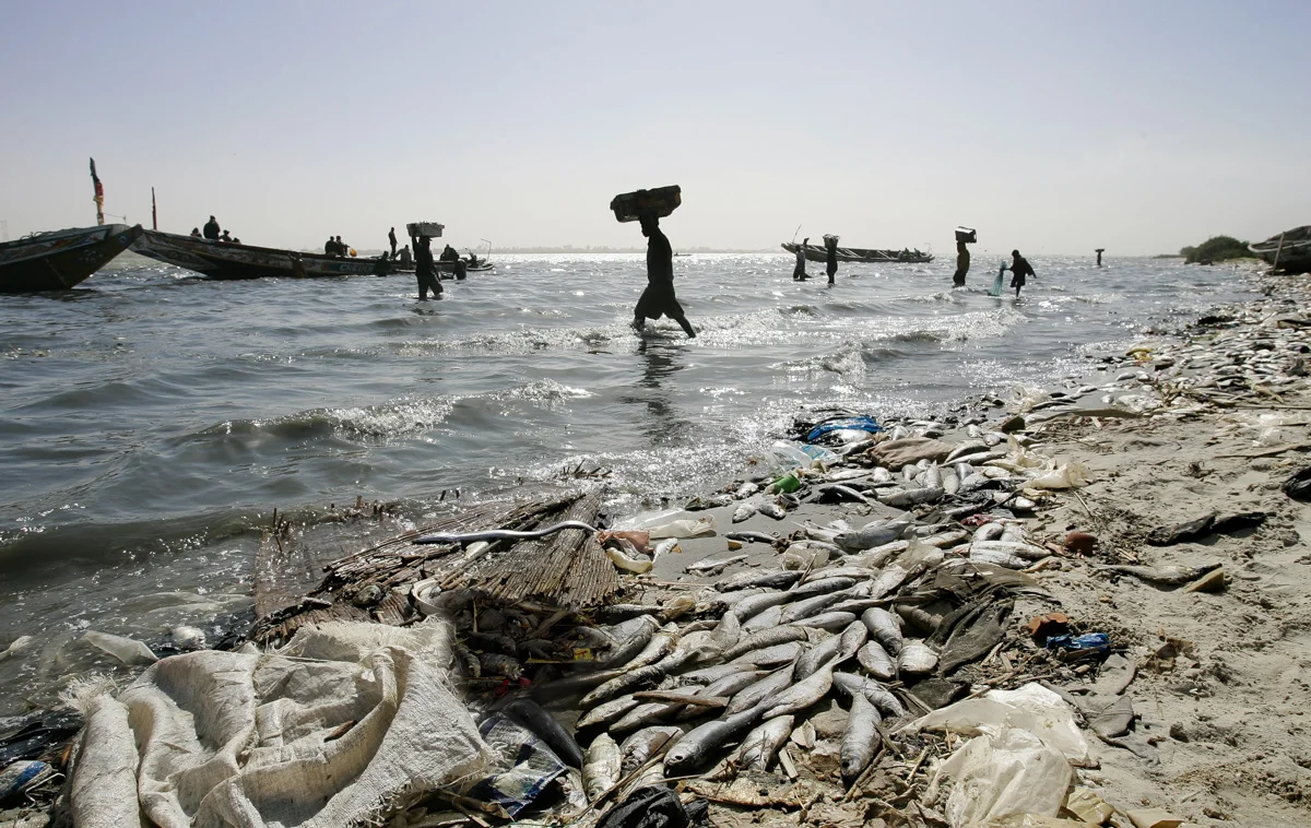 Africa-30.jpg