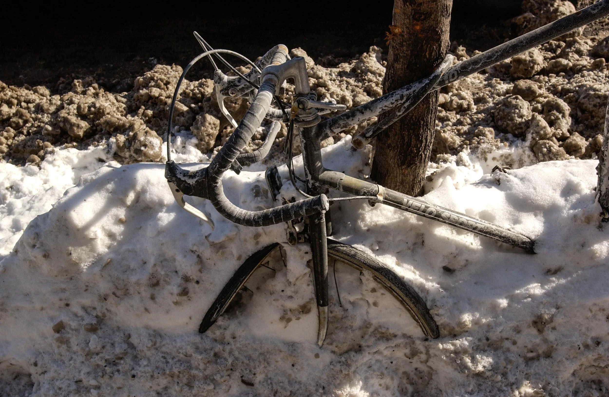 bicycle-4408.jpg