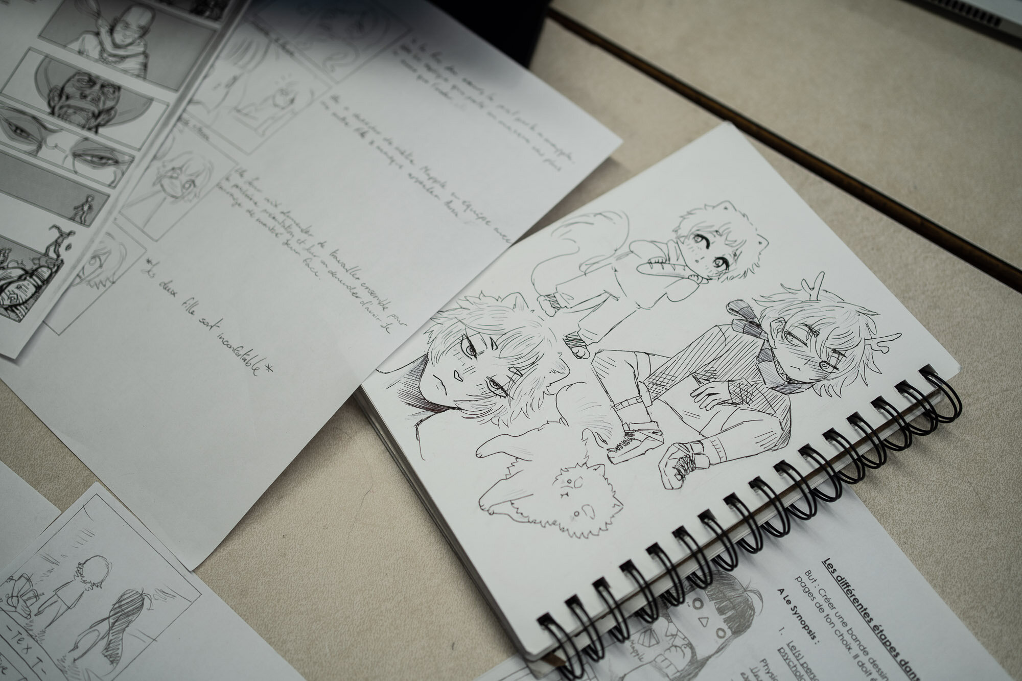  Montreal, Québec, Canada -06 février 2020: École Marguerite - De Lajemmerais, 5555 Sherbrooke est. Bock 3 - Photo Normand Blouin 