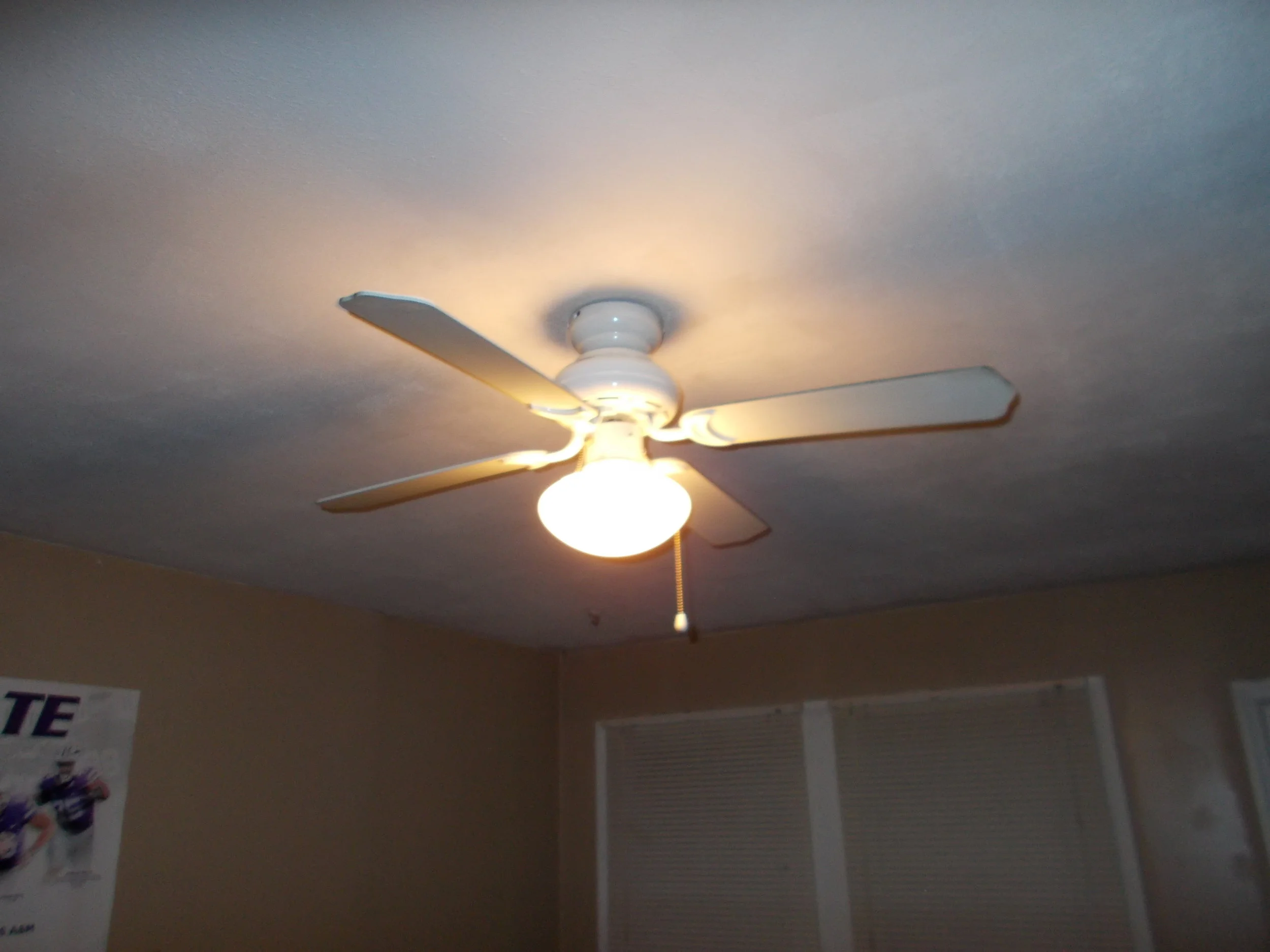 DSCN0030.JPG