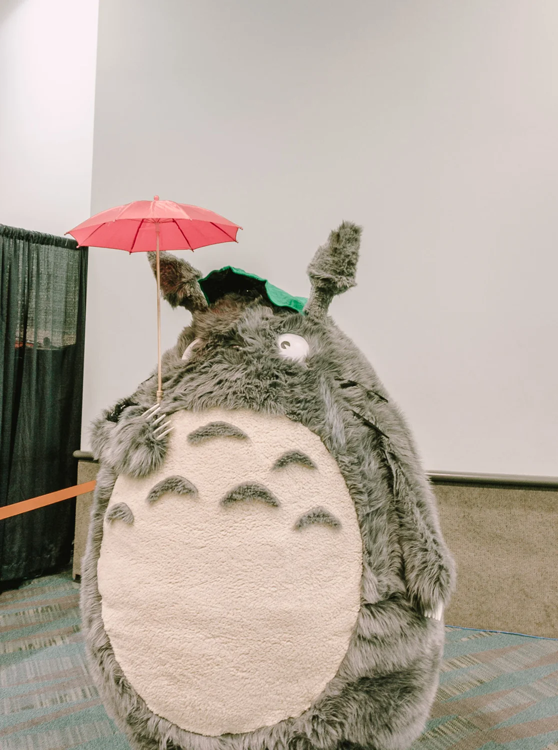AX Recap Totoro.jpg