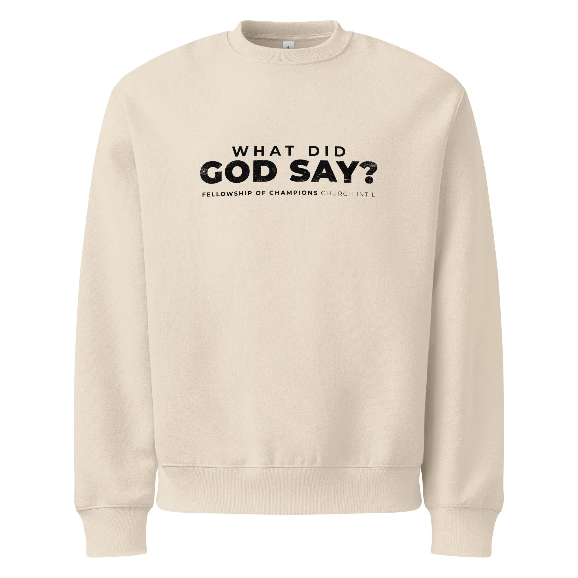 unisex-oversized-heavyweight-sweatshirt-dust-front-68ae59cdc14ec.jpg