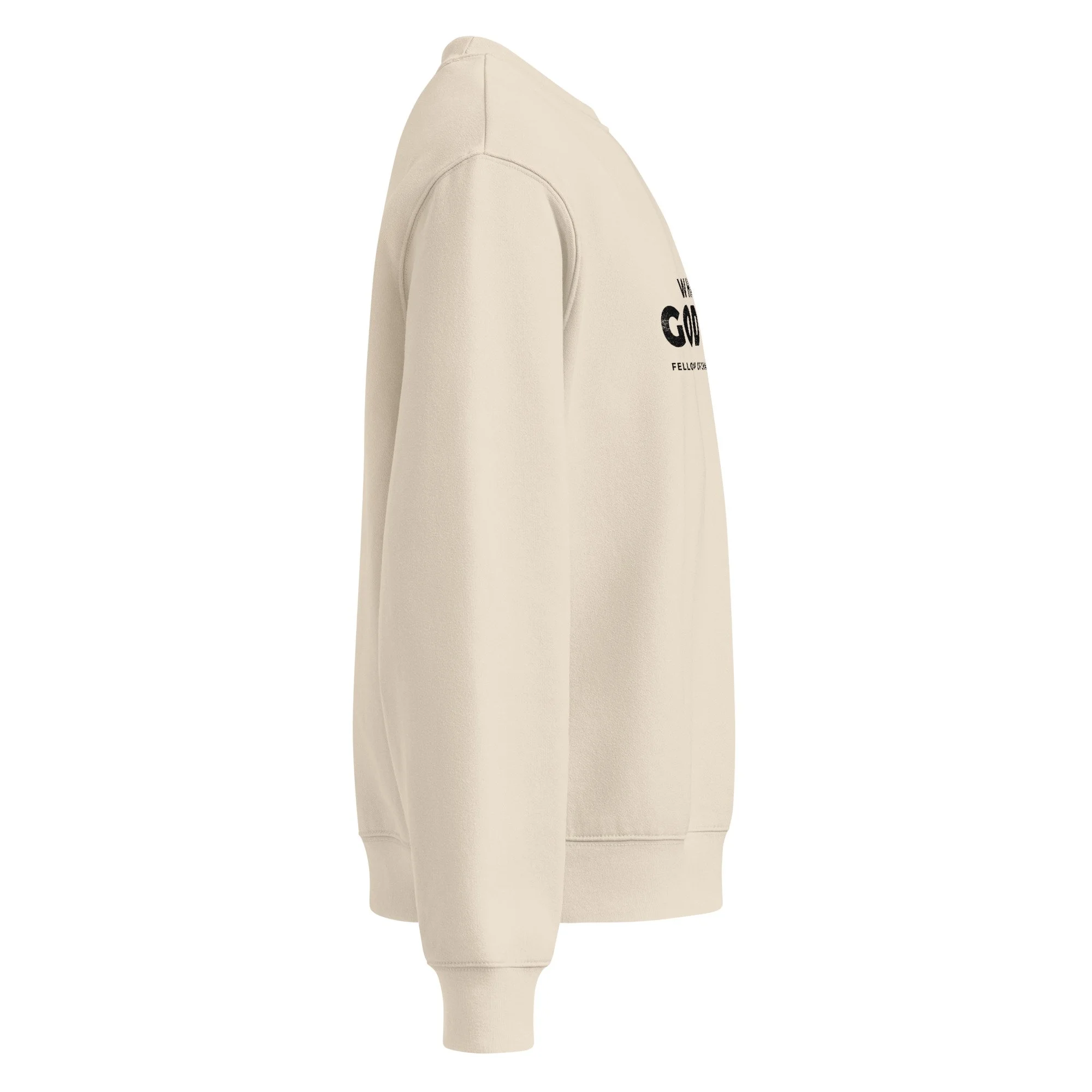 unisex-oversized-heavyweight-sweatshirt-dust-right-68ae59cdc318c.jpg