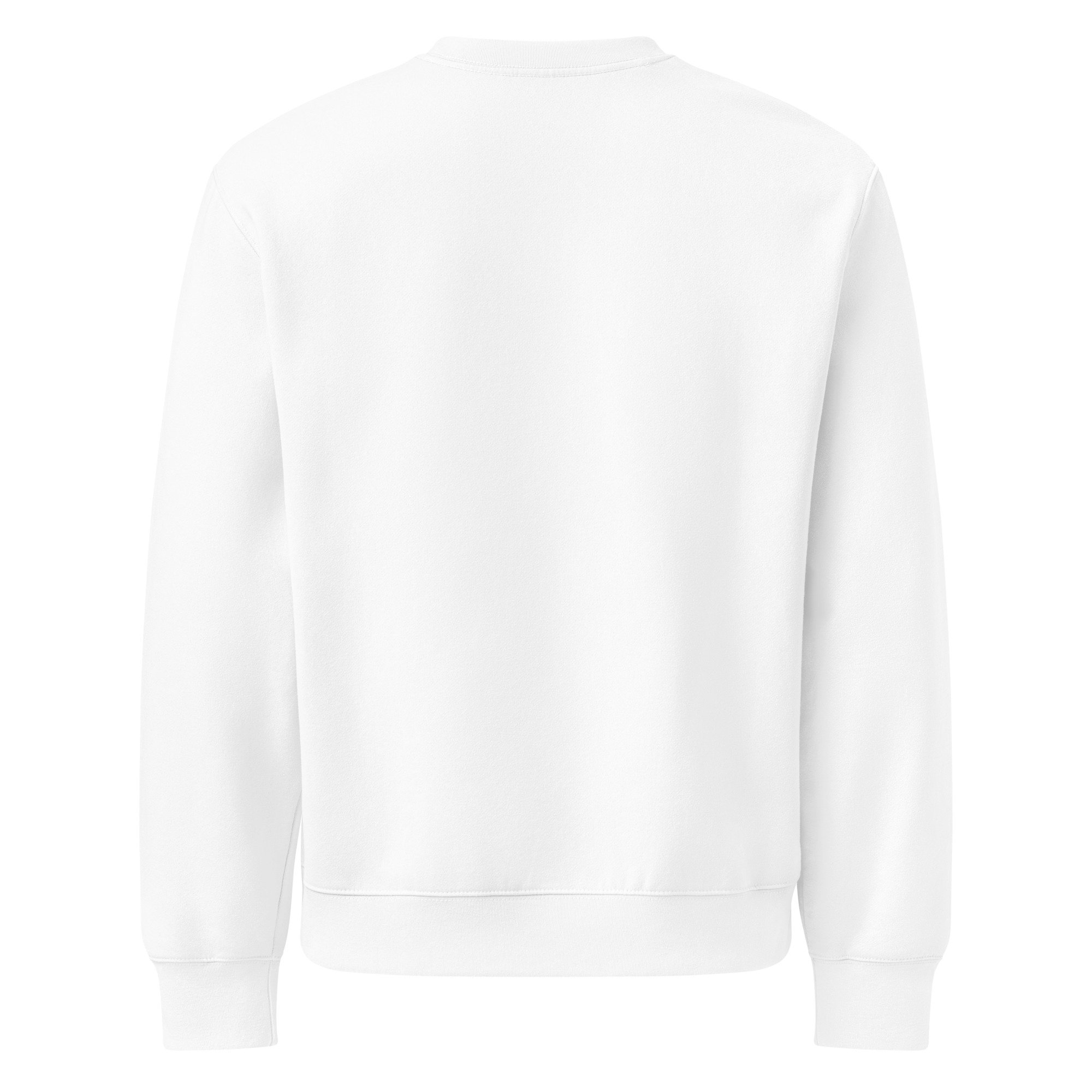 unisex-oversized-heavyweight-sweatshirt-white-back-68ae59cdc1efc.jpg
