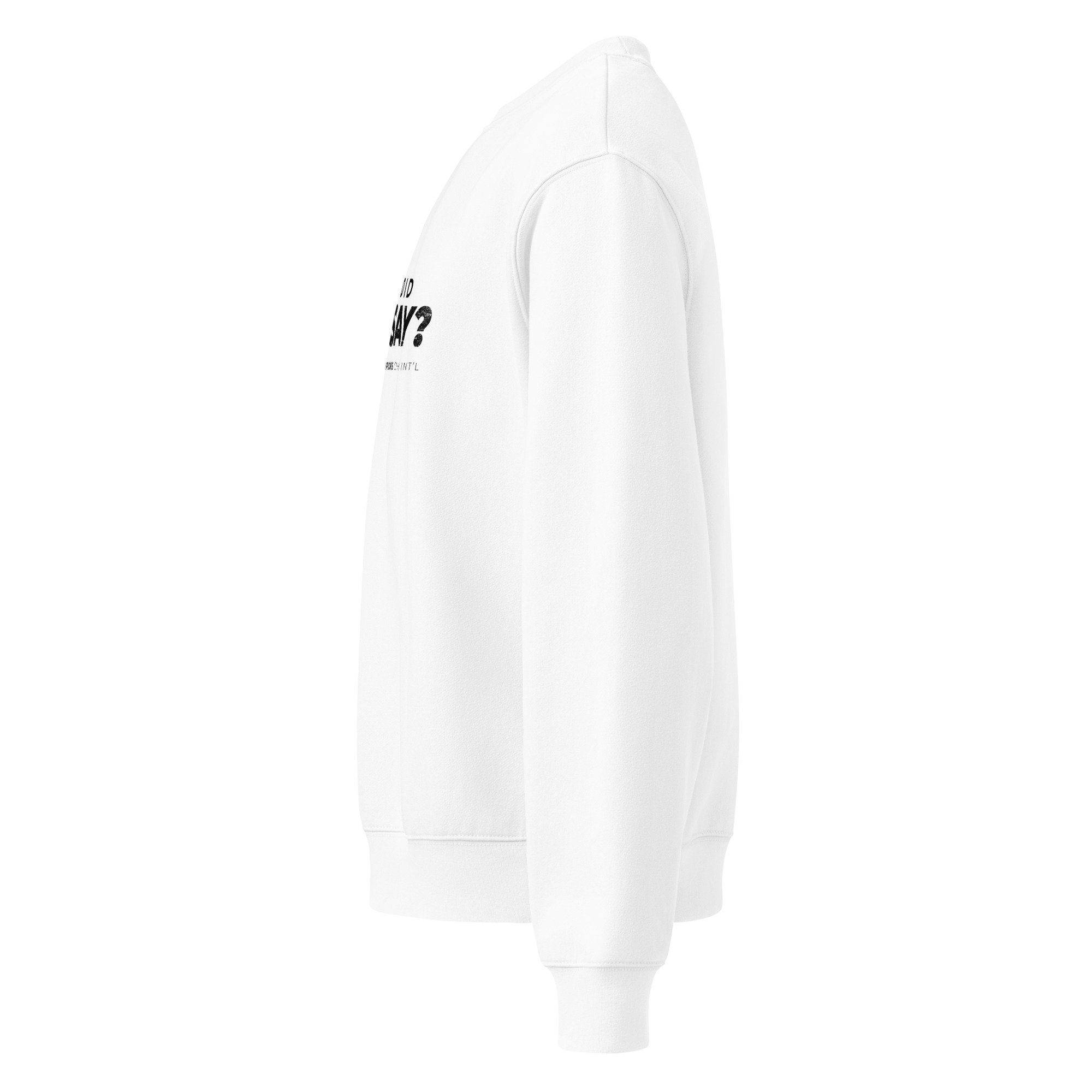 unisex-oversized-heavyweight-sweatshirt-white-left-68ae59cdc27f4.jpg