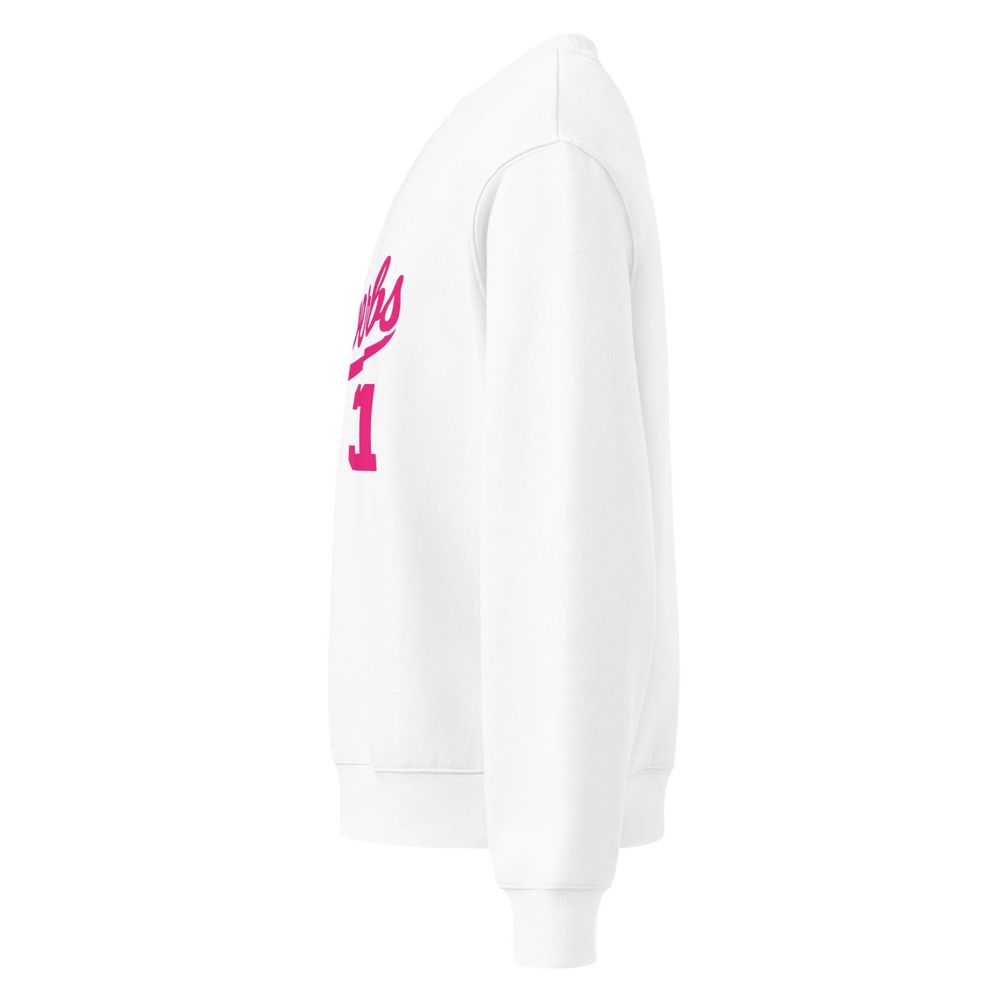 unisex-oversized-heavyweight-sweatshirt-white-left-69497440080ac.jpg