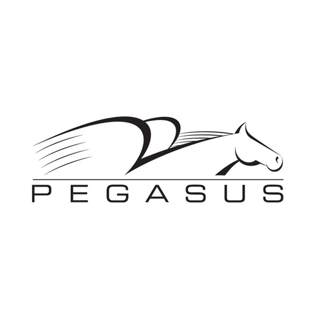 Pegasus Logo for Time Warner Cable's groundbreaking interactive program guide.