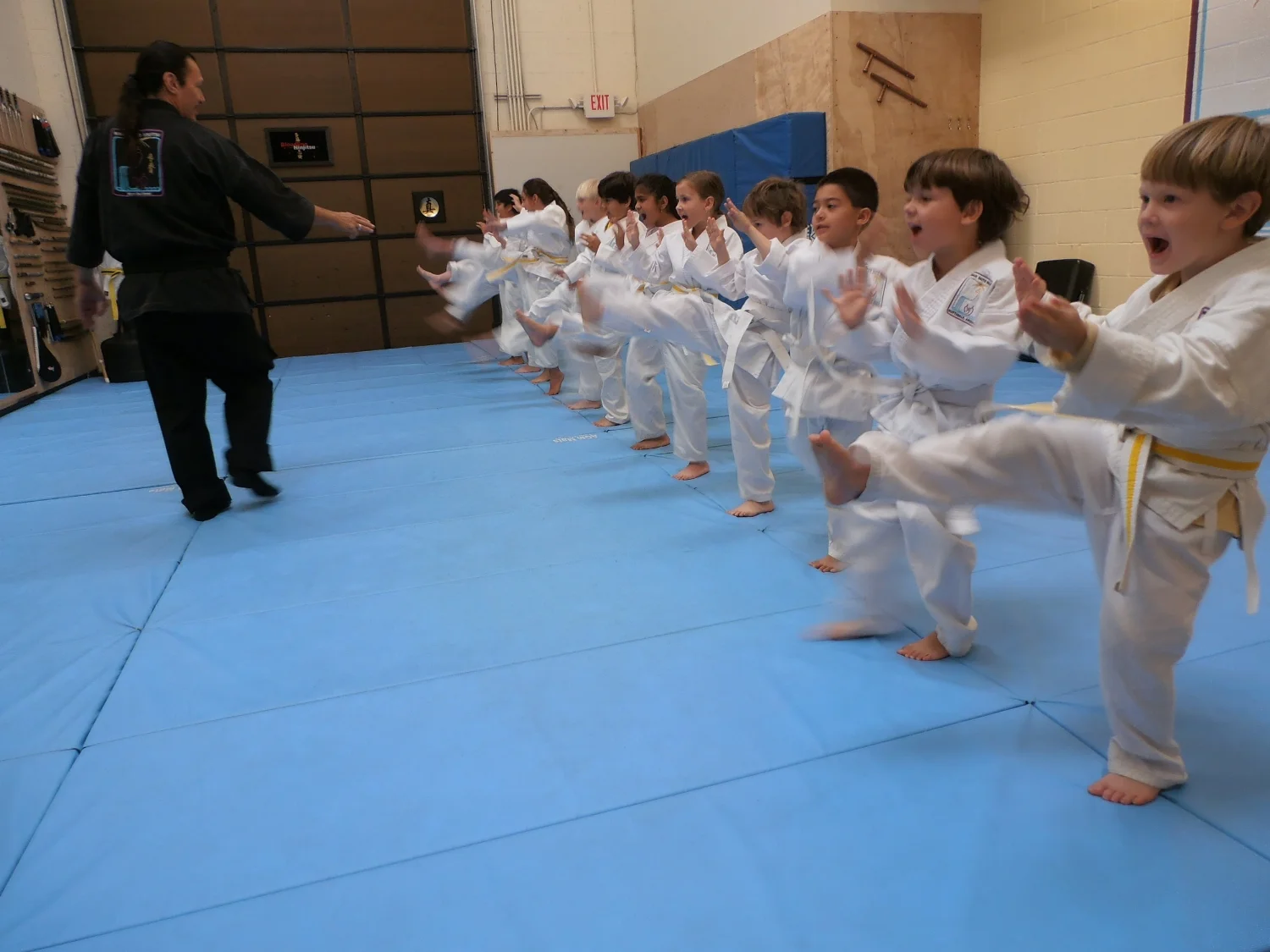 how much are martial arts classes Felisa Shell