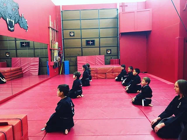 Meditation is paramount in ninjitsu mastery.
#saitobloodlineninjitsu #mastermaui #scottsdale #dojolife #ninjitsu #meditation