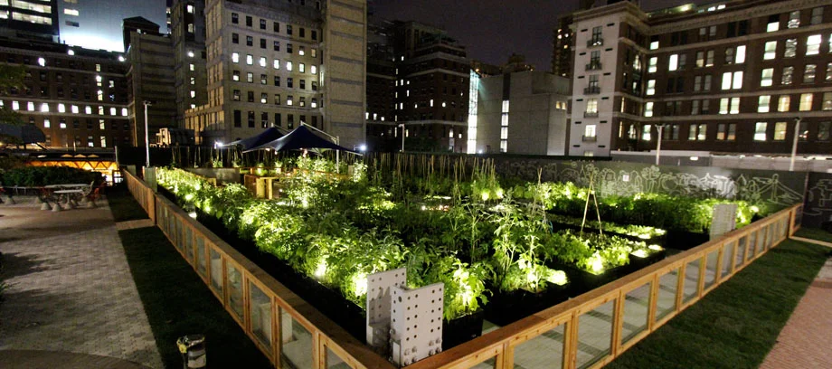 Riverpark Farm in Manhattan